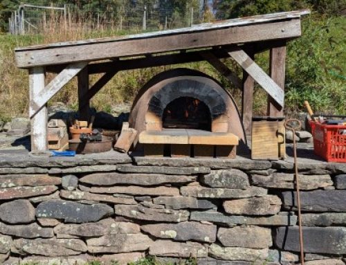 On a quest for the perfect pizza and other culinary adventures with my earthen oven